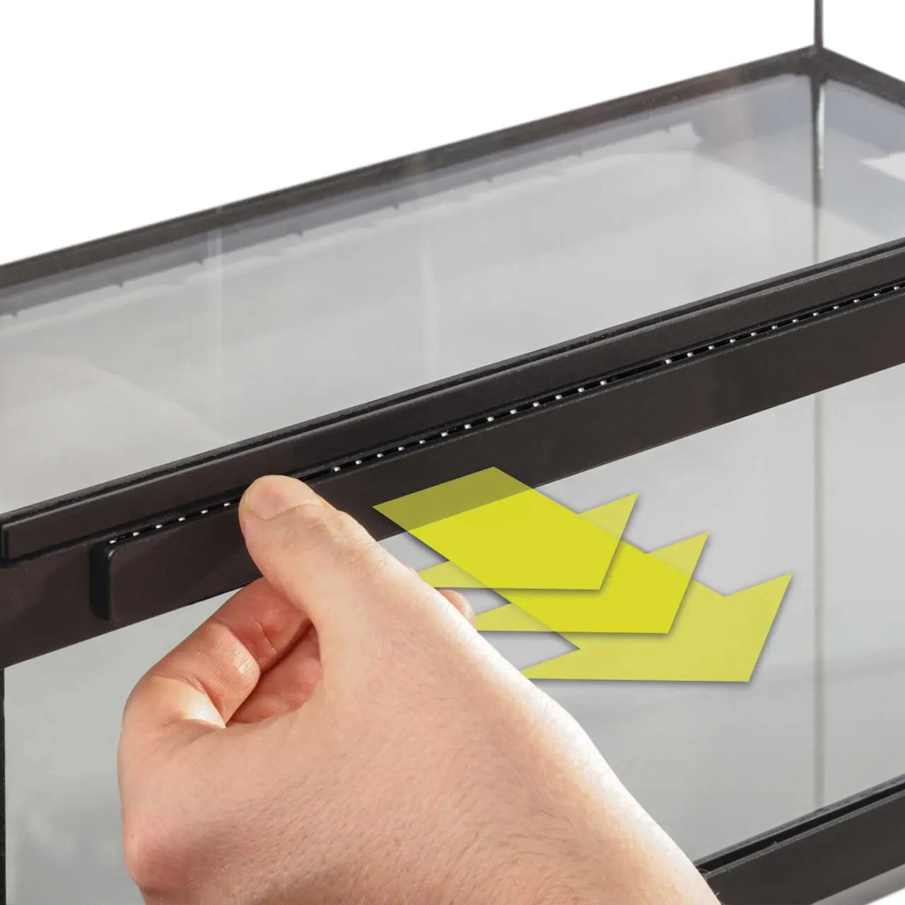 Paludarium et terrarium en verre Exo Terra Advanced - Mini très grand (12 x 12 x 24 po)