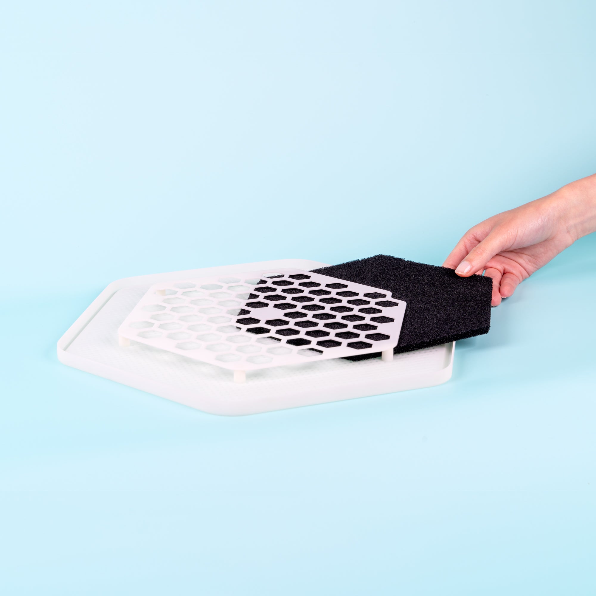 Gousse de culture de vers de farine