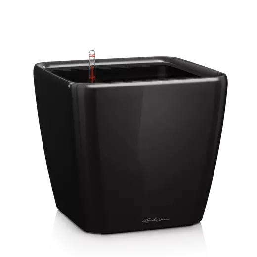 LECHUZA Fioriera Quadro 43 LS ALL-IN-ONE Bianco Lucido 16180 LECHUZA Fioriera Quadro 43 LS ALL-IN-ONE Bianco Lucido 16180