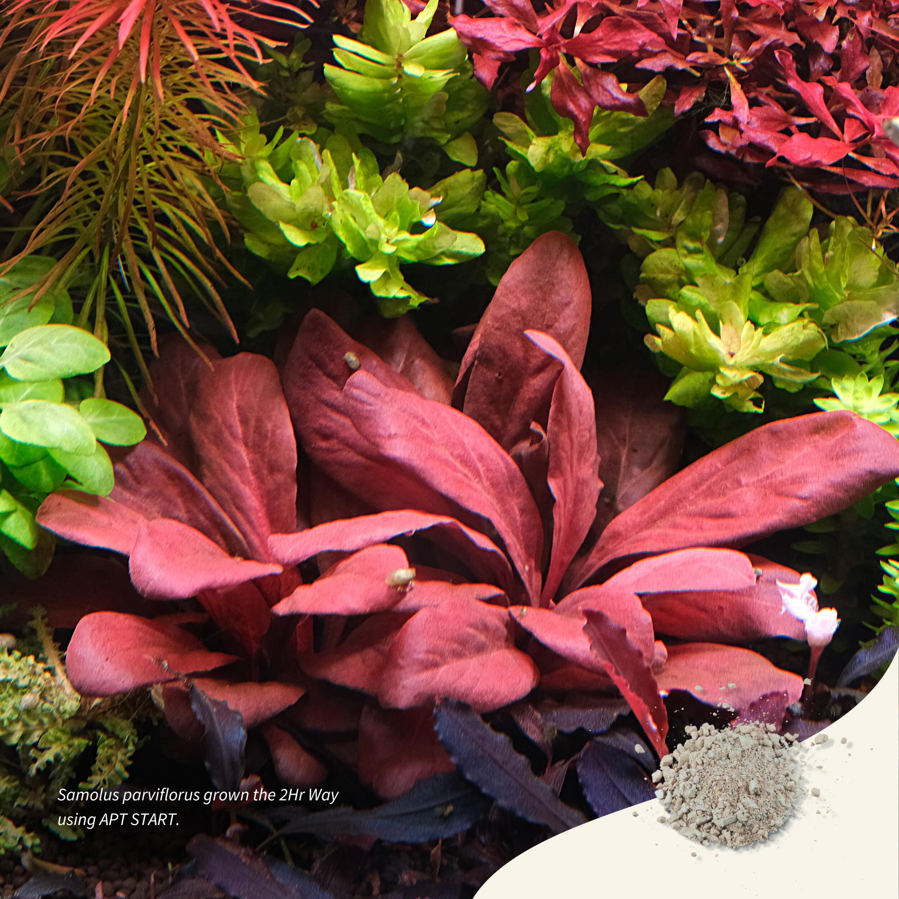 Aquarist APT Start 2 heures 45 g