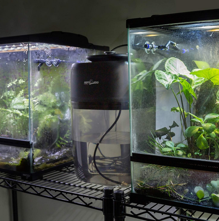 Système de brumisation/forêt tropicale intelligent de luxe ReptiZoo 10 L