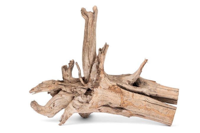 NewCal Lightning Wood