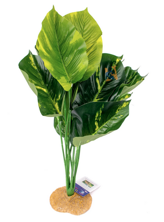 Aquaglobe Soie Rouge Japonica 20"