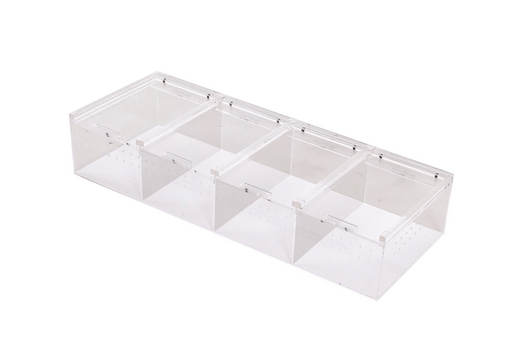 ReptiZoo Acrylic Display Case With Multiple Compartments