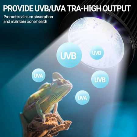 Mini lampe tropicale LED UVB ReptiZoo 3 W
