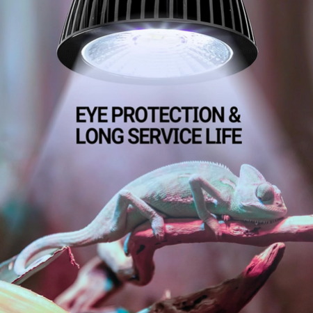 Mini lampe tropicale LED UVB ReptiZoo 3 W