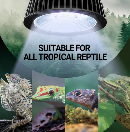 Mini lampe tropicale LED UVB ReptiZoo 3 W