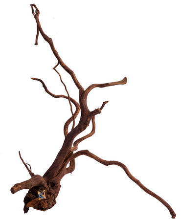 Aquaglobe Bois d'Amazonie