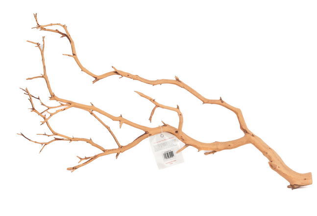 Aquaglobe Ghostwood (produit sur commande spéciale)