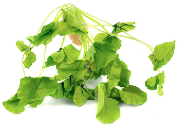 Plante sous-marine Aquaglobe Lotus (produit sur commande spéciale)