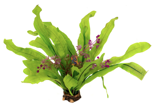 Plante d'aquarium Aquaglobe Silk Marti 20 cm (commande spéciale)