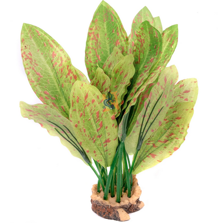 Plante d'aquarium Aquaglobe Silk Ozelot 7" (commande spéciale)
