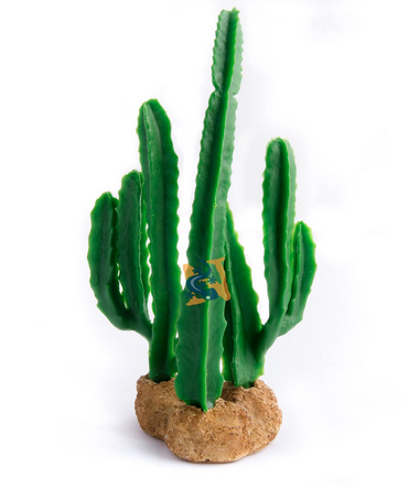 Aquaglobe Sunrise Cactus 5" (produit sur commande)