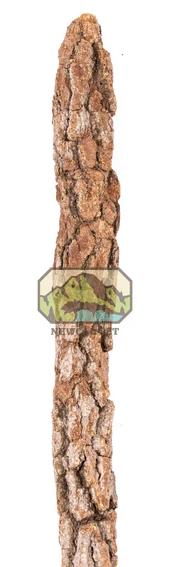 NewCal Galho Estrela Branche de liège naturel 1-1,5" de diamètre