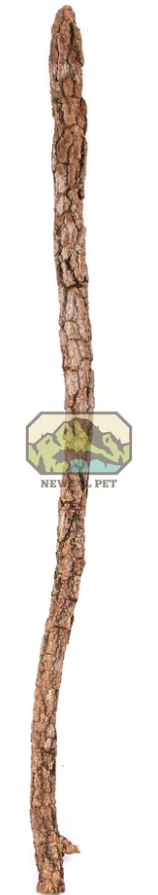NewCal Galho Estrela Branche de liège naturel 1-1,5" de diamètre