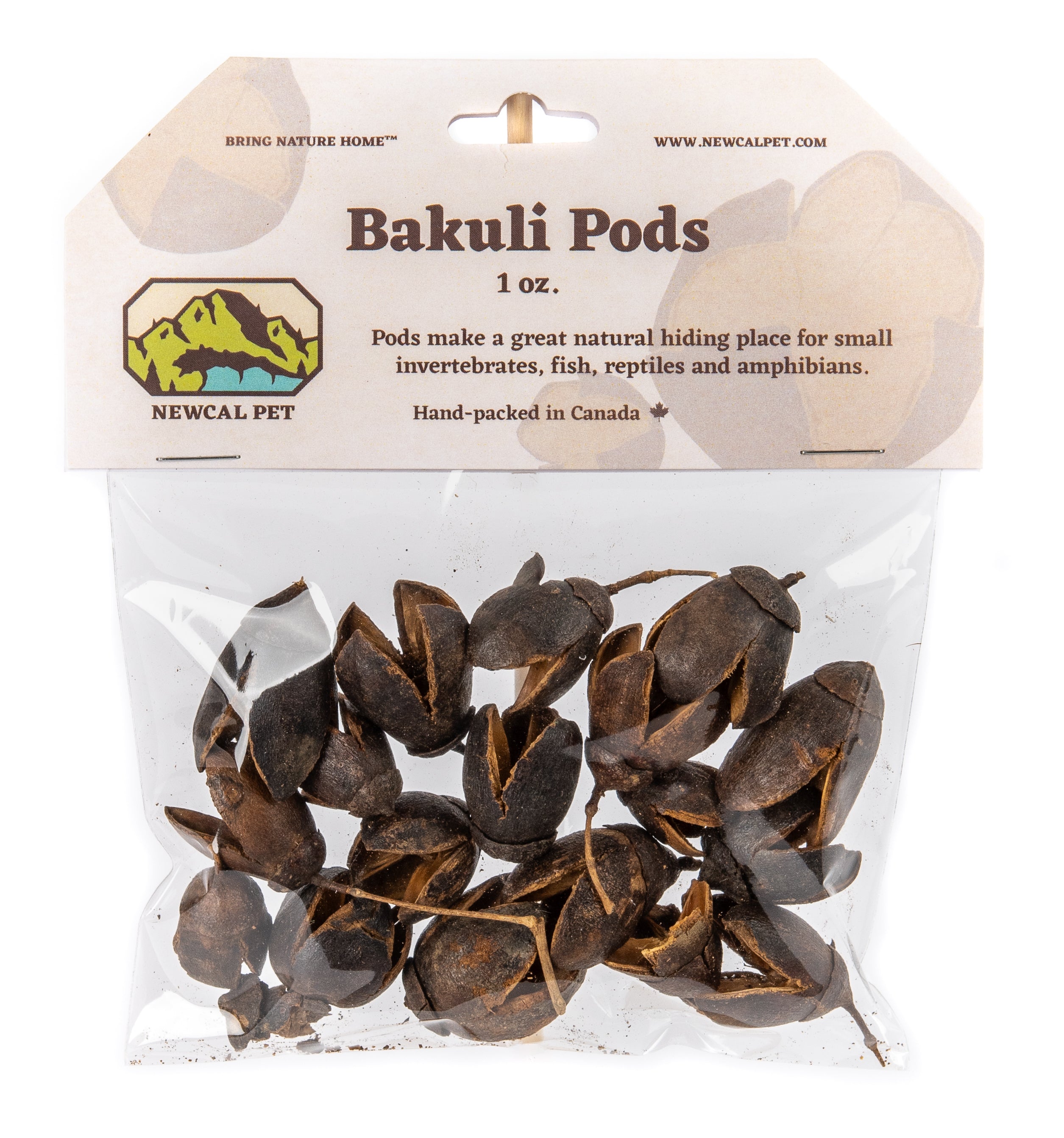 Gousses Bakuli NewCal