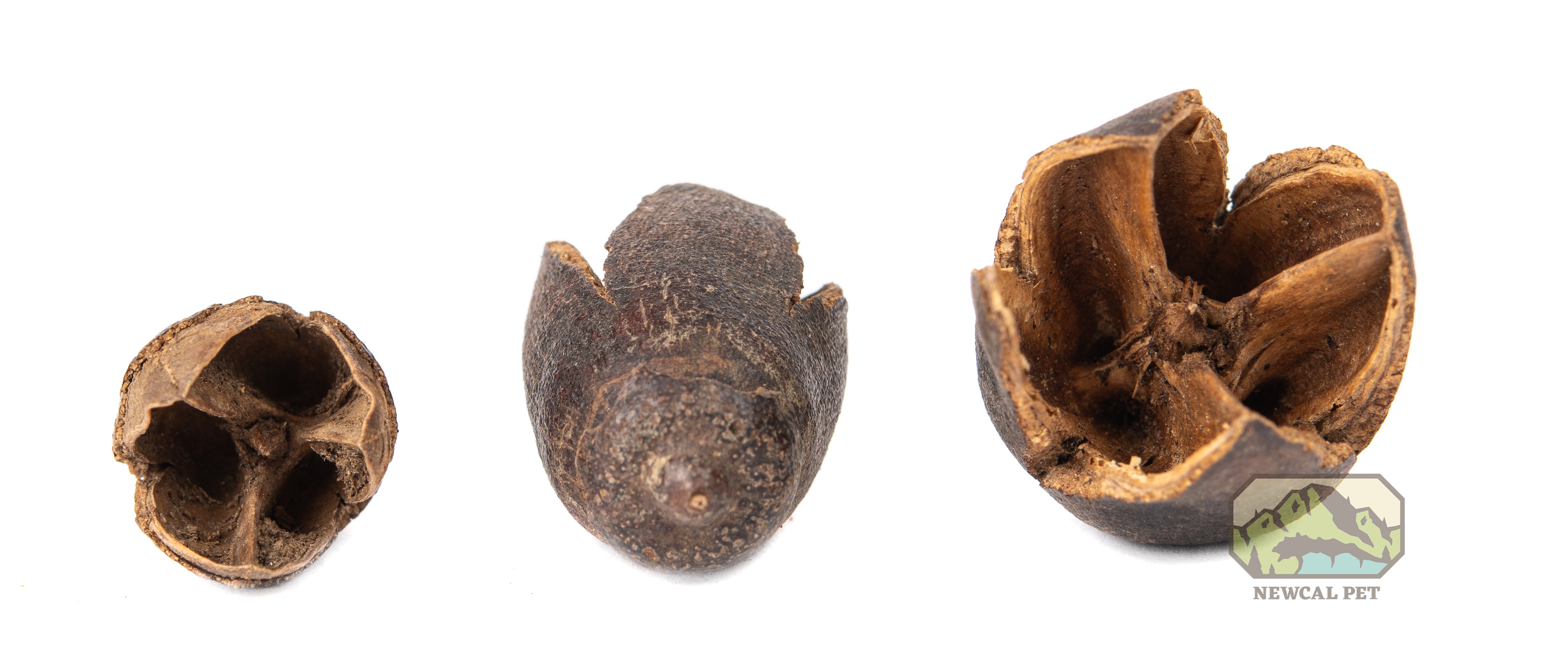 Gousses Bakuli NewCal