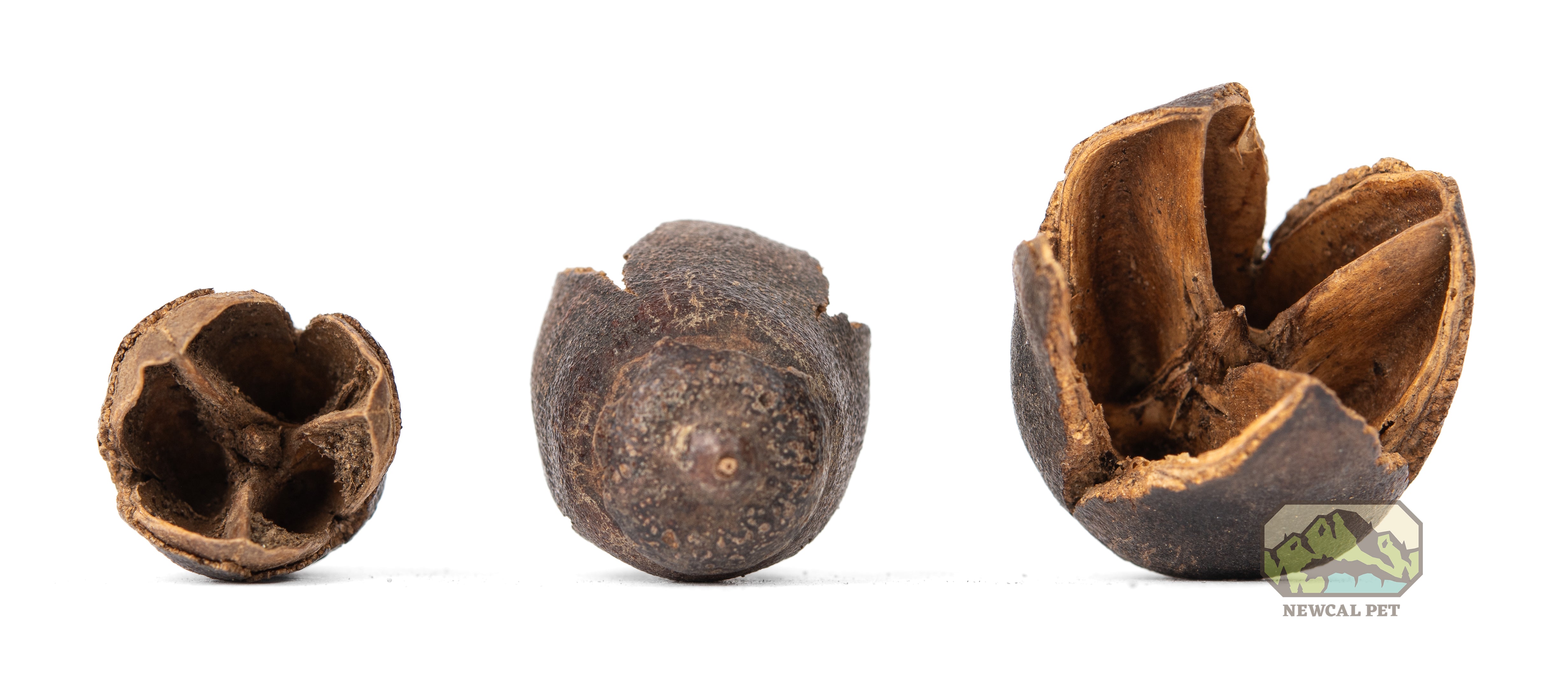 Gousses Bakuli NewCal