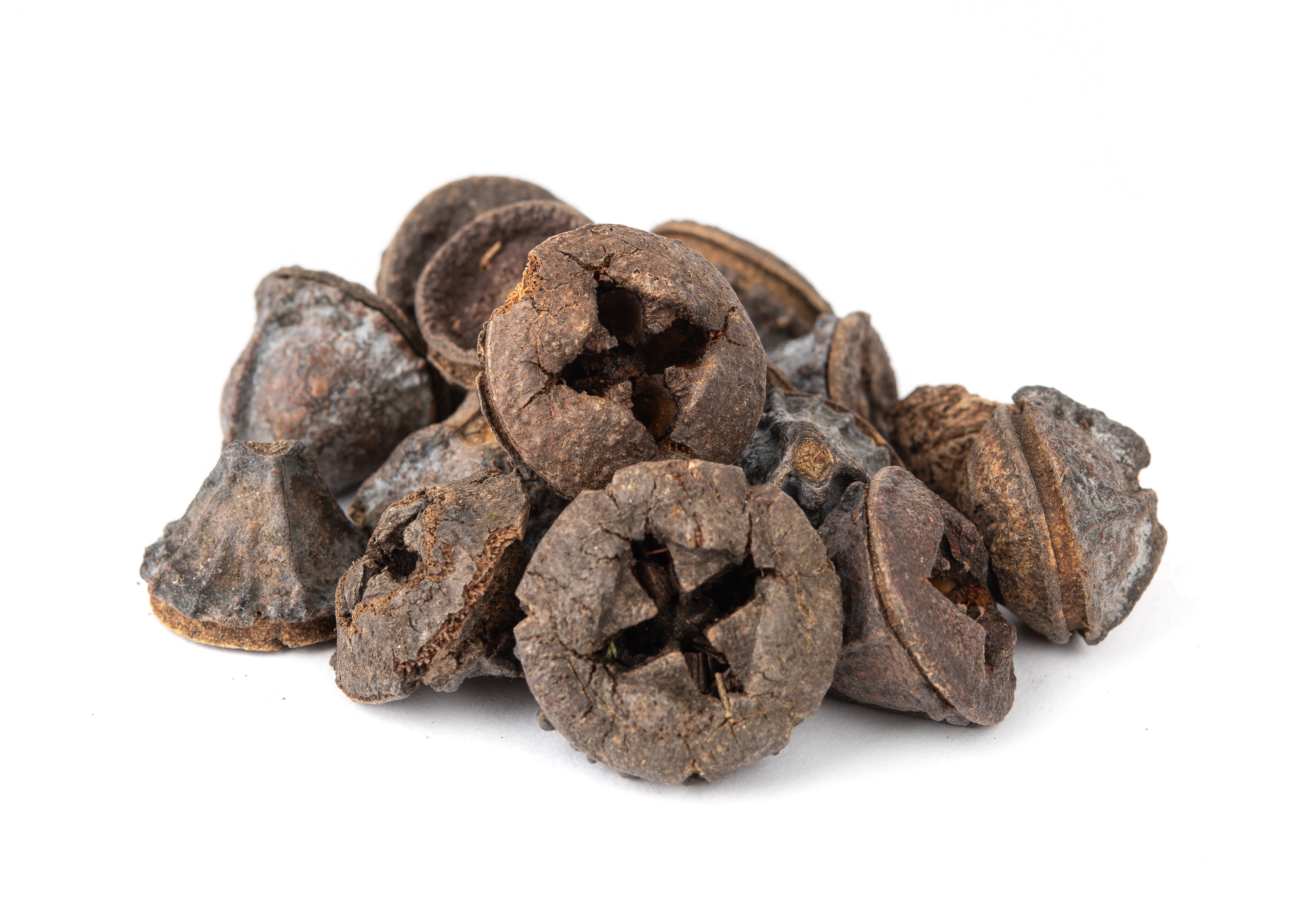 NewCal Eucalyptus Button Pods