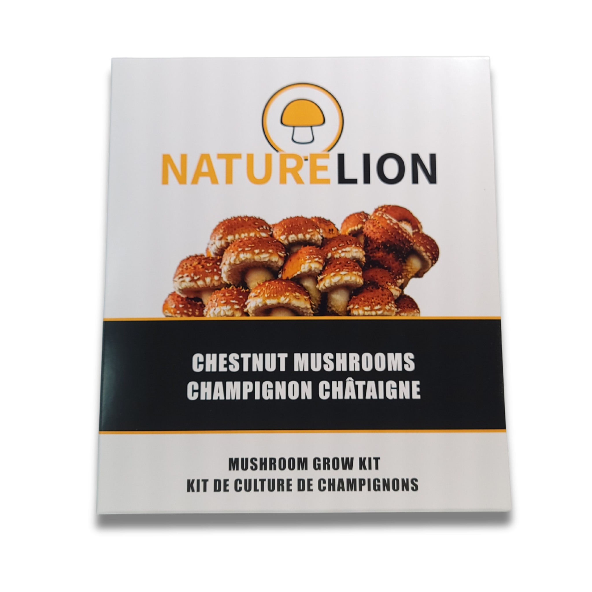 Kits de culture de champignons