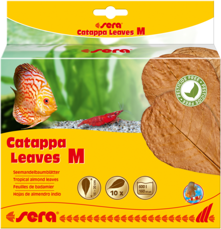 Feuilles d'amande (Sera Catappa) (paquet de 10)