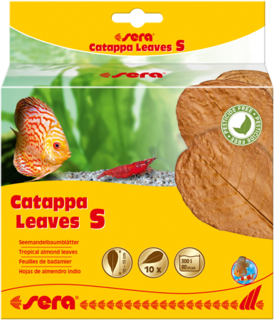 Feuilles d'amande (Sera Catappa) (paquet de 10)