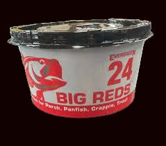 Vers à truite à feuilles persistantes