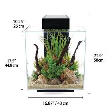 Ensemble Fluval Edge 12 gallons (noir)