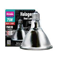 Arcadia Golden Sun Basking Halogen Lamp