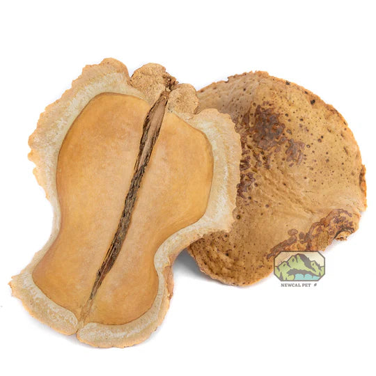 NewCal Frog’s Mouth 3 Pack