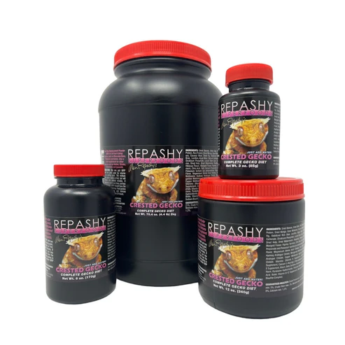 Gecko à crête Repashy MRP