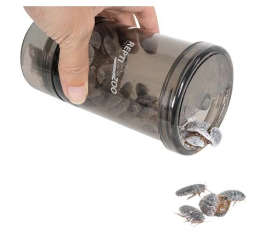 Mélangeur de poudre et de grillons pour reptiles ReptiZoo