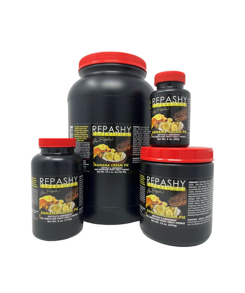 Tarte à la crème de banane Repashy