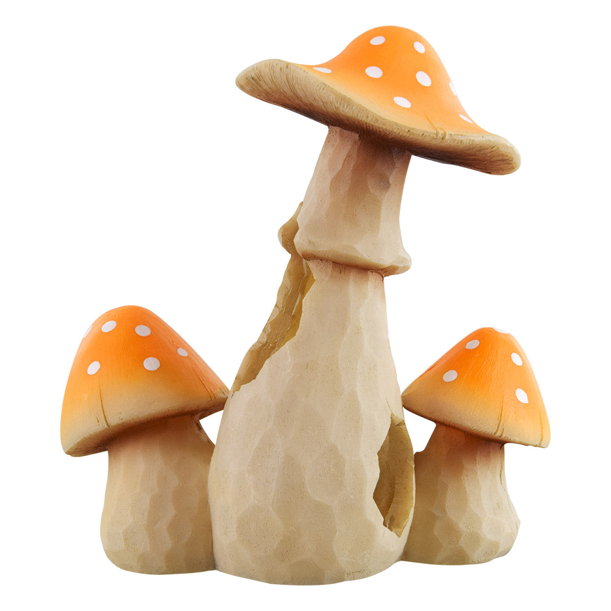 Champignons phosphorescents Trésors sous-marins
