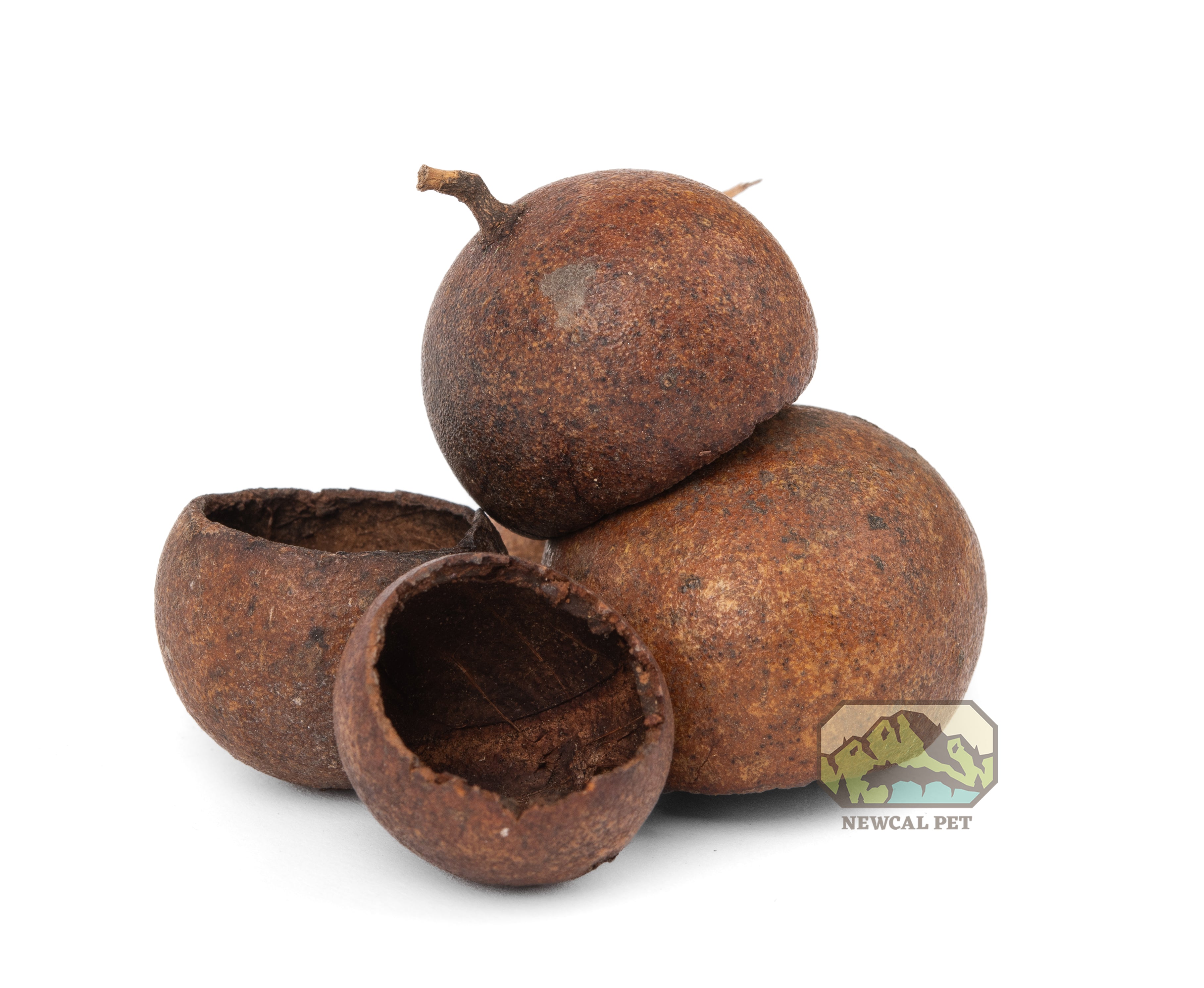 Gousses Kuchila de NewCal