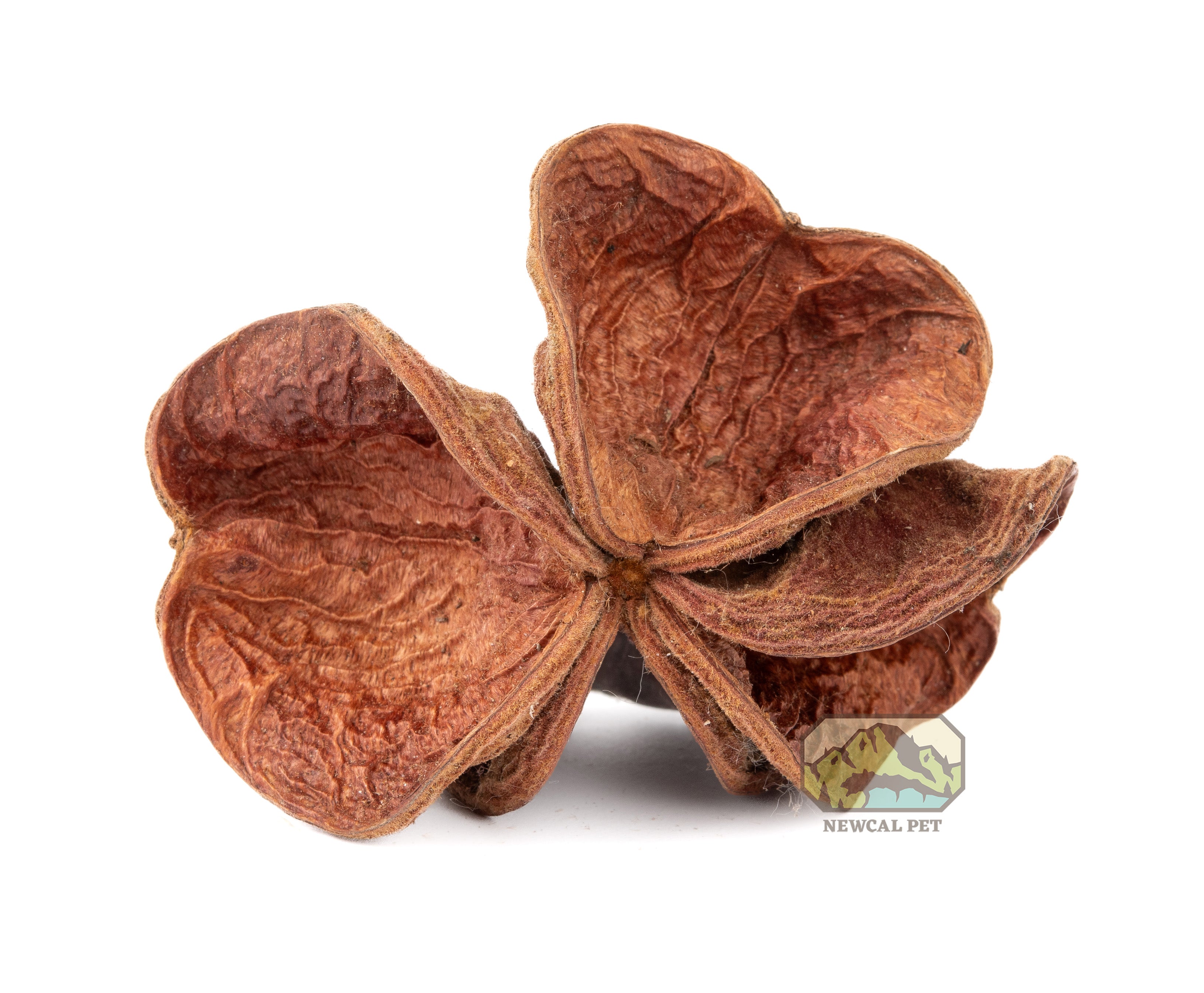 NewCal Land Lotus Flower