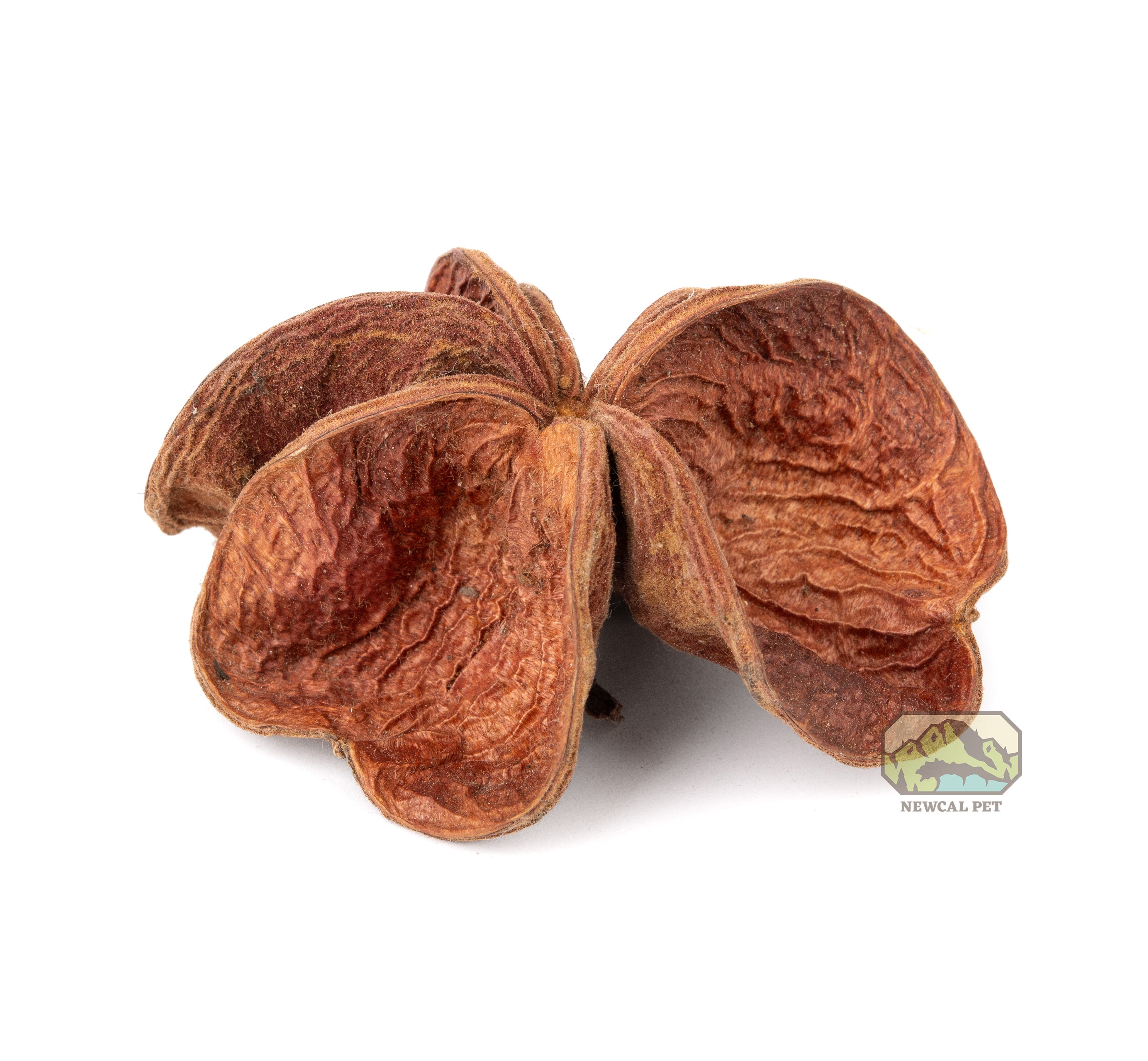 NewCal Land Lotus Flower