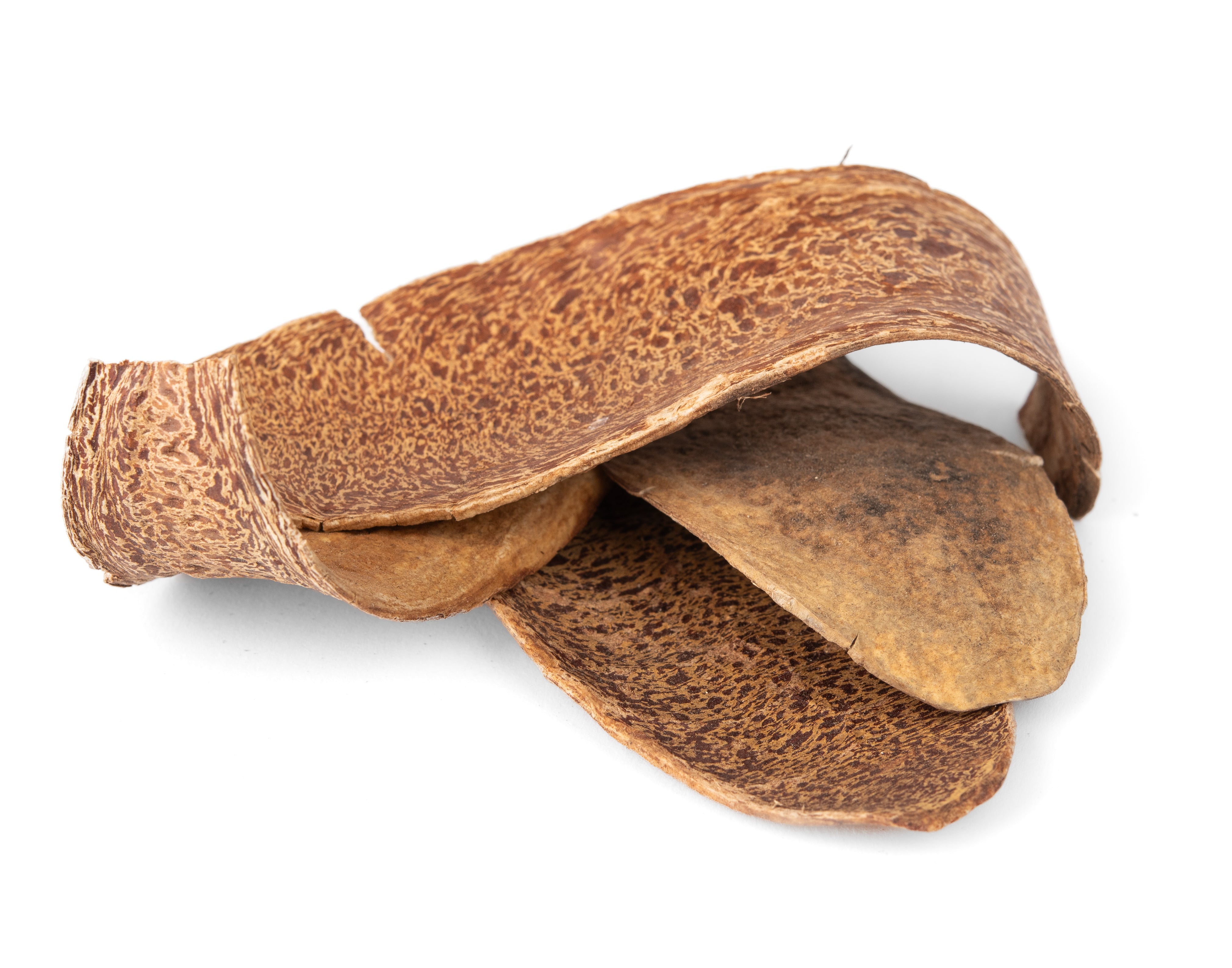 NewCal Mahogany Petals