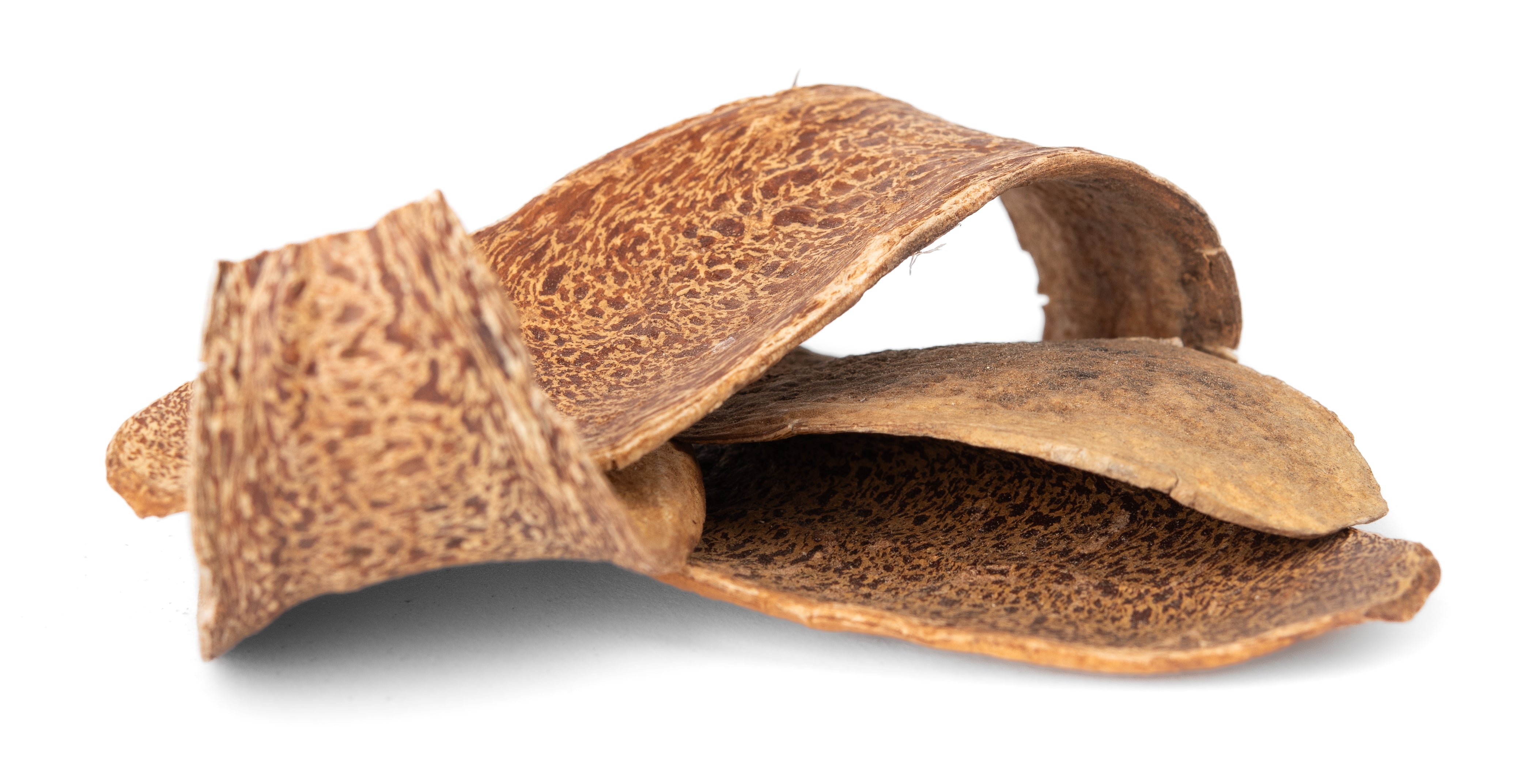 NewCal Mahogany Petals