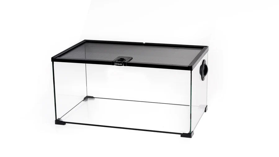 ReptiZoo Glass Mini Terrariums