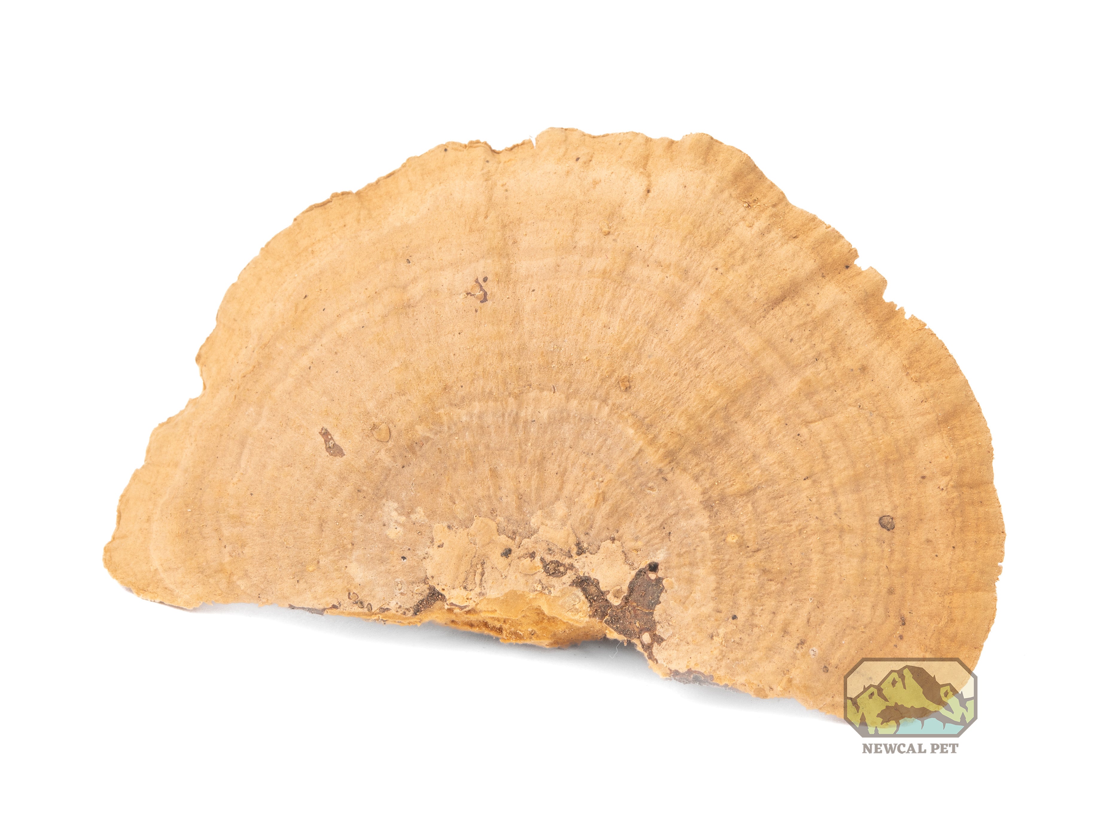 NewCal Mini Sponge Mushroom