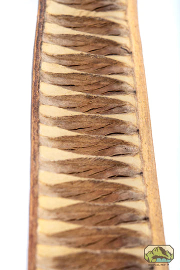 NewCal Step Fruit 12"+