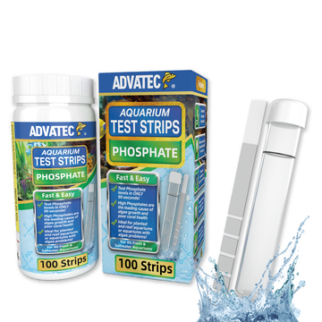 Bandelettes de test de phosphate Advatec