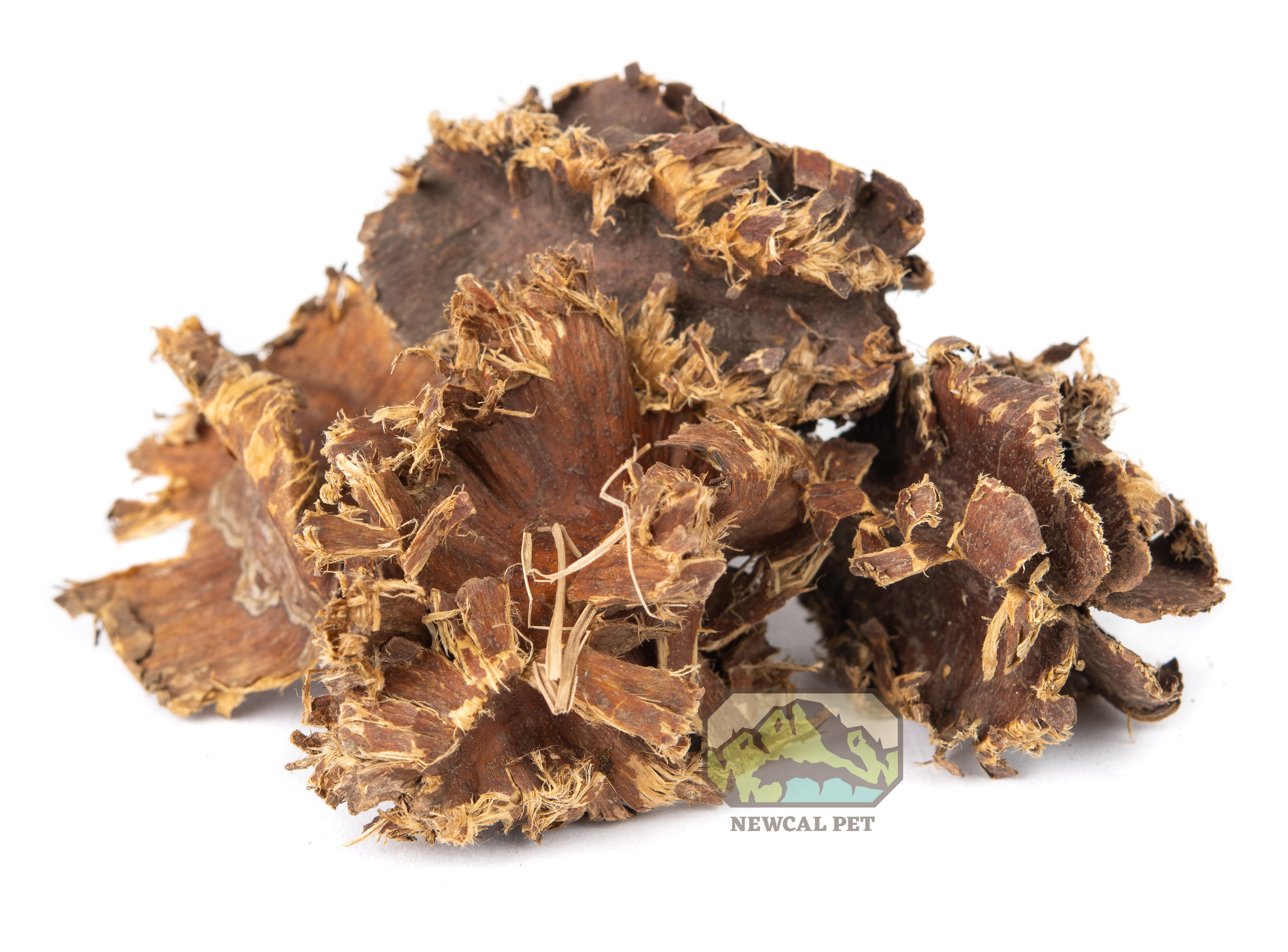 NewCal Purple Cluster Pods