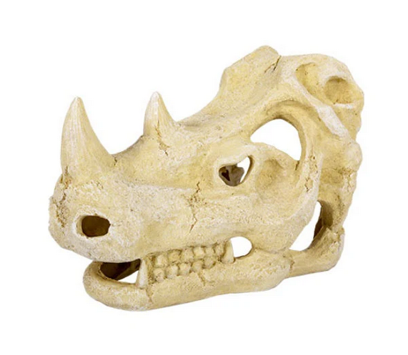 ReptiZoo Rhino Skull Cave