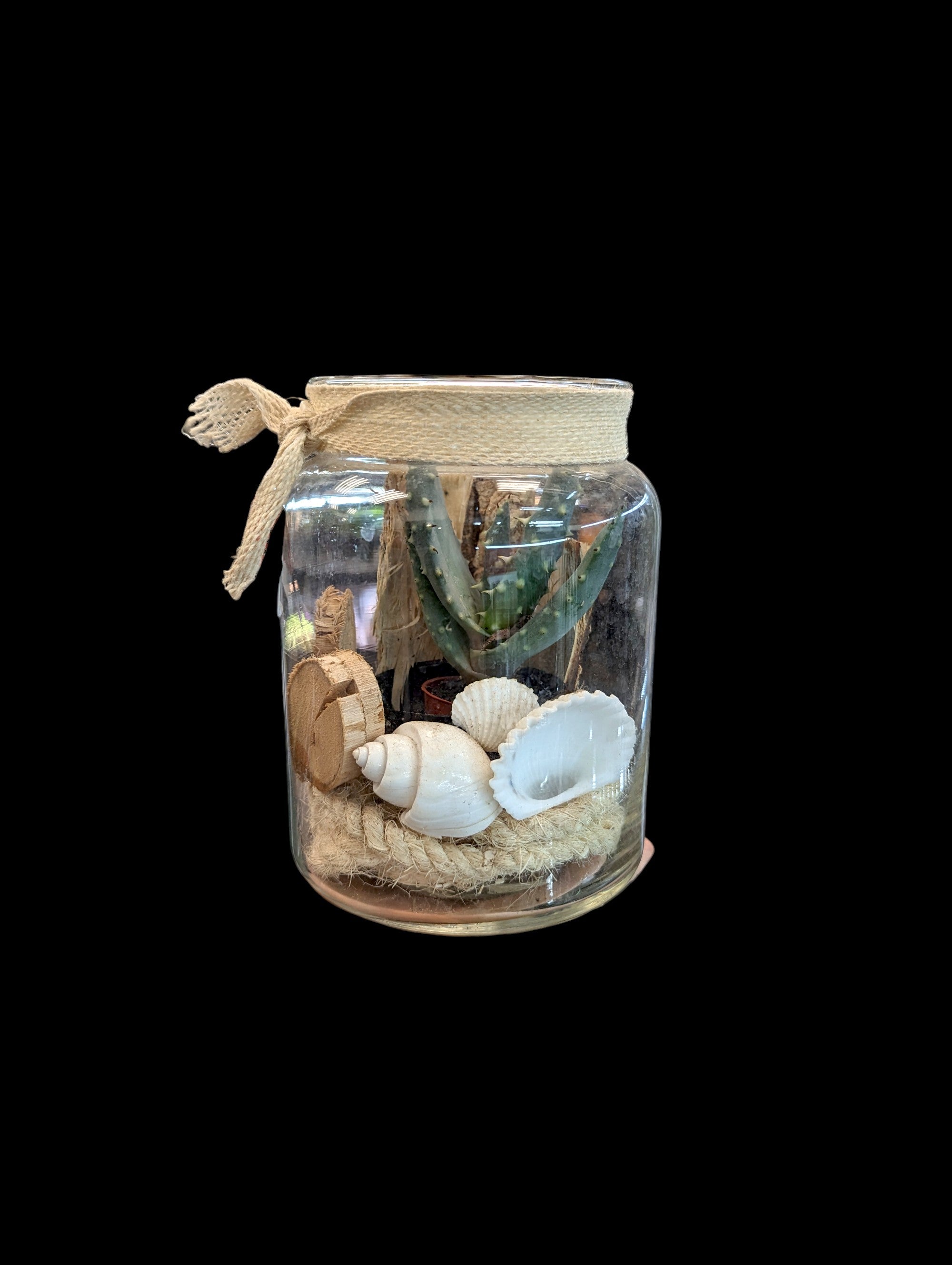 Beach Glass Vase/Plant Holder