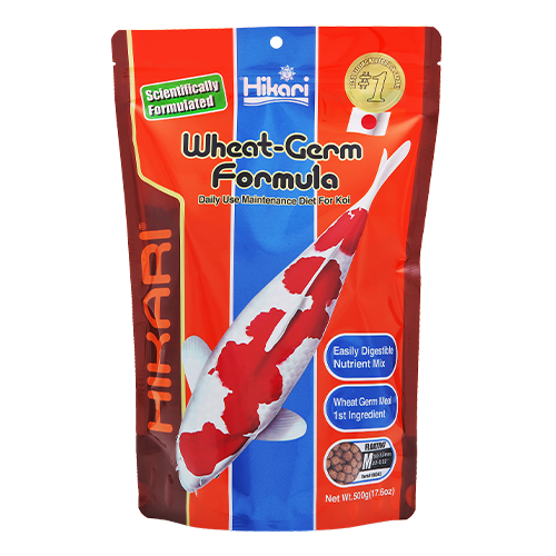 Granulés flottants de germe de blé Hikari (produit sur commande)