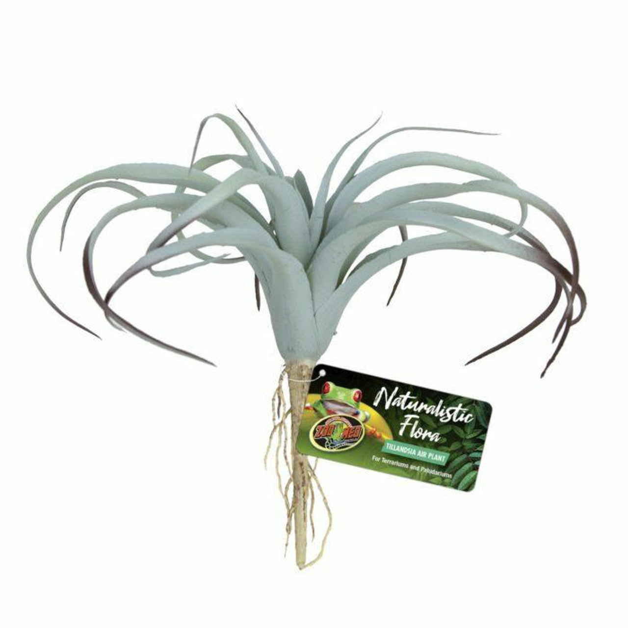 Flore naturaliste du Zoo Med – Tillandsia Air Plant