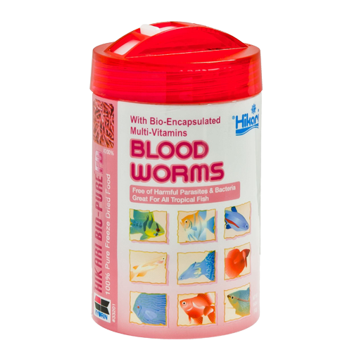 sera Fd Bloodworms Freeze Dried