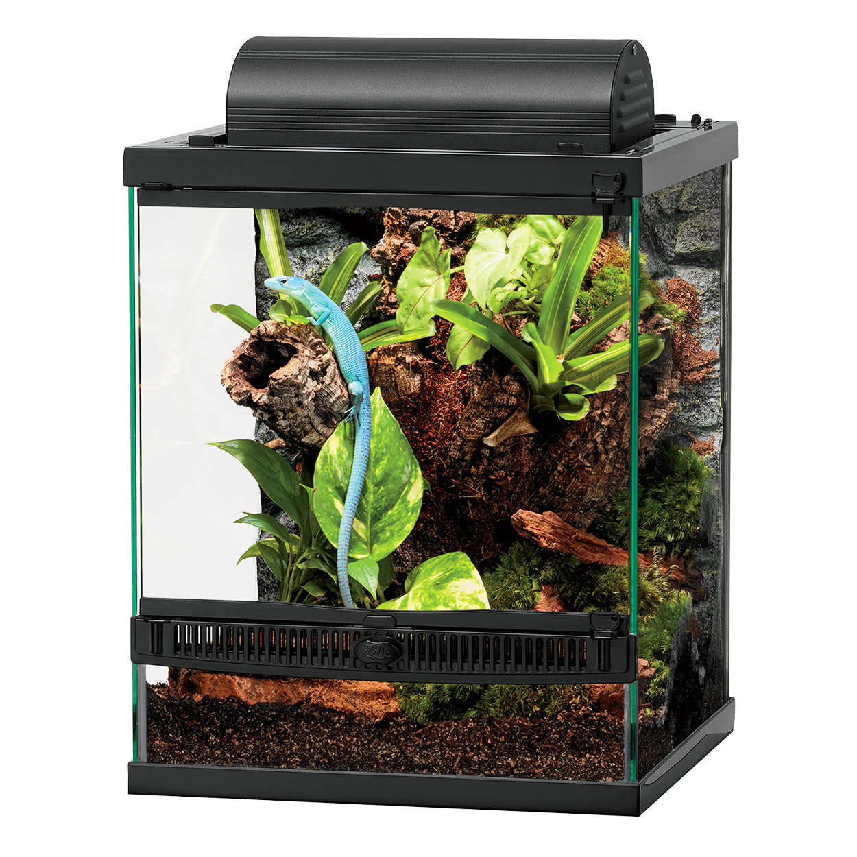 Terrarium à ouverture frontale Zilla